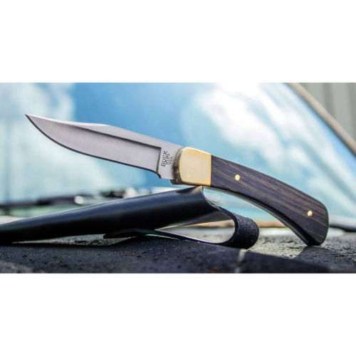 3810 Buck 101 Hunter
