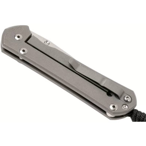 Складной нож Chris Reeve Large Sebenza 21 Think Twice фото 9