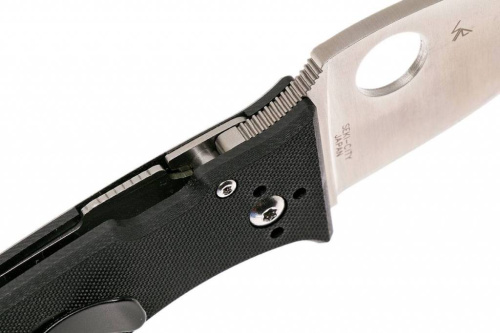 Складной нож Spyderco Lil' Temperance 3 - 69GP3 фото 4